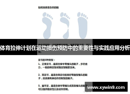 体育拉伸计划在运动损伤预防中的重要性与实践应用分析