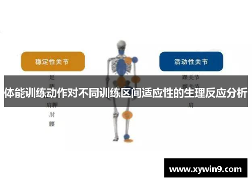 体能训练动作对不同训练区间适应性的生理反应分析